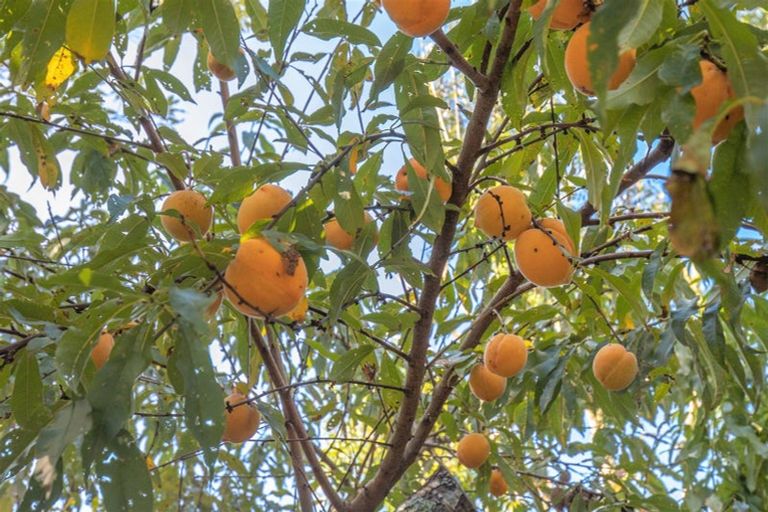 Photo of property in 29 Croft Terrace, Huntly, 3700