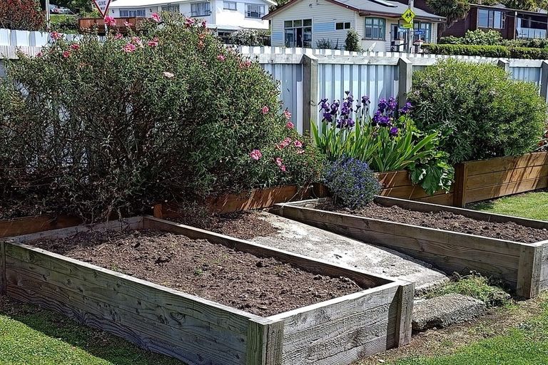 Photo of property in 50 Onslow Street, Bluff, 9814