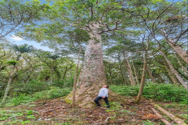 Photo of property in 395 Tangihua Road, Maungakaramea, Whangarei, 0178