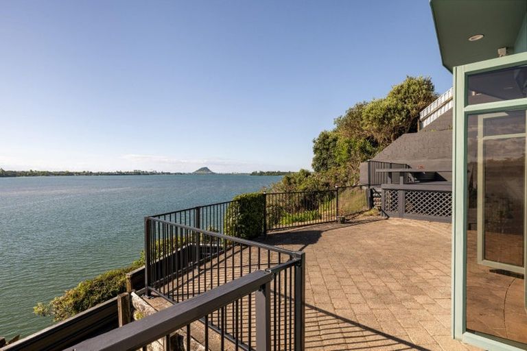 Photo of property in 292a Maungatapu Road, Maungatapu, Tauranga, 3112