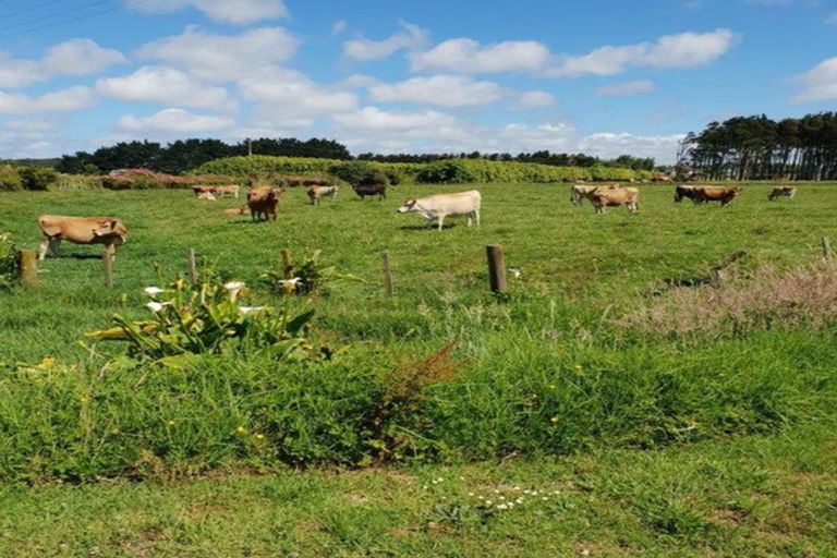 Photo of property in 69 Hoods Landing Road, Otaua, Waiuku, 2682