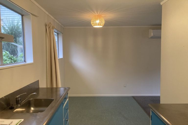 Photo of property in 45 Norway Street, Aro Valley, Wellington, 6012