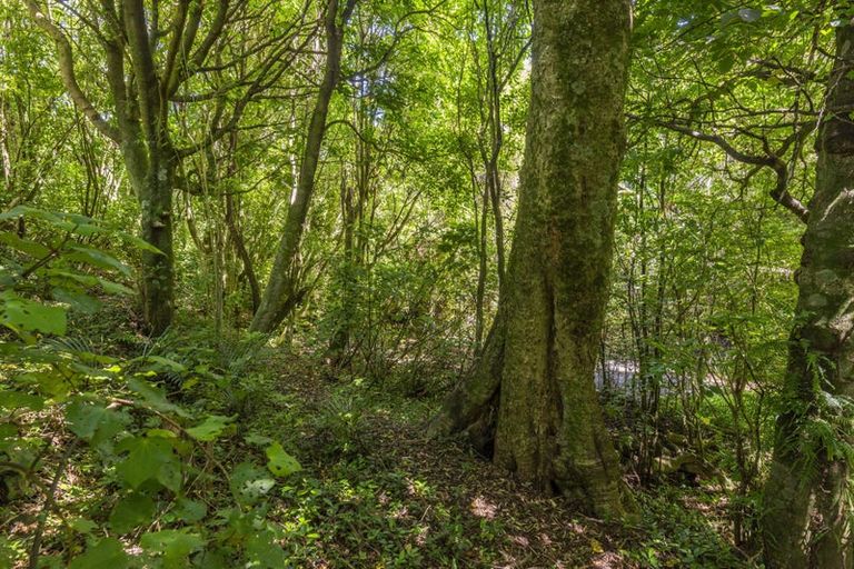 Photo of property in 83 Belvedere Avenue, Waikanae, 5036