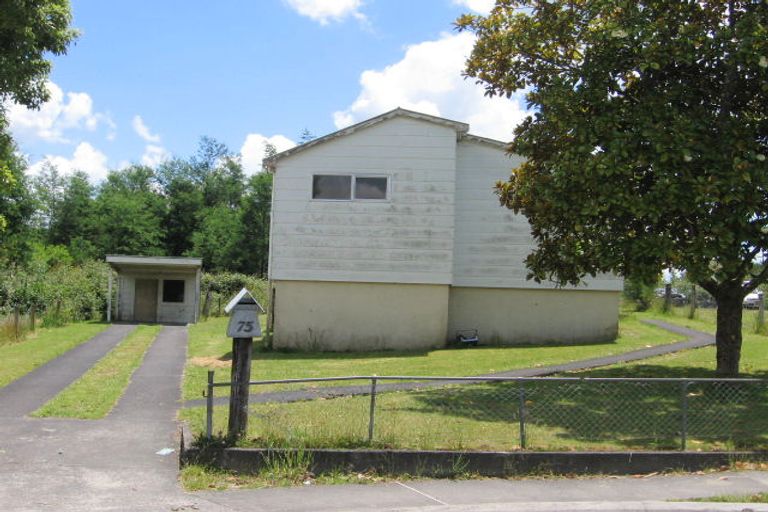 Photo of property in 75 Roslyn Street, Taumarunui, 3920