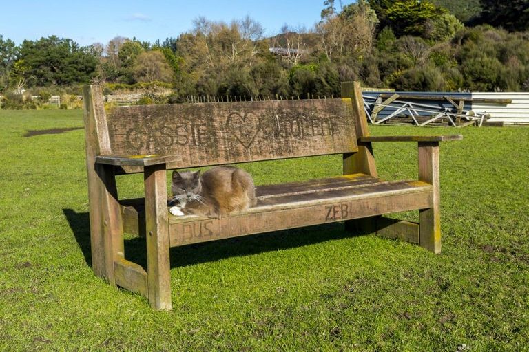 Photo of property in 147 Upper Fitzherbert Road, Wainuiomata, 5373