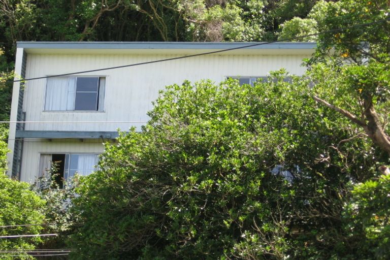 Photo of property in 160 Raroa Road, Aro Valley, Wellington, 6012