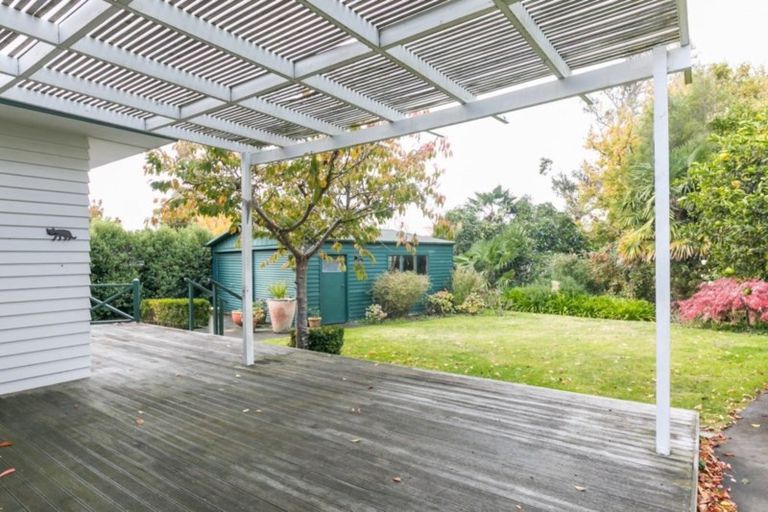 Photo of property in 41 Mchardy Street, Havelock North, 4130