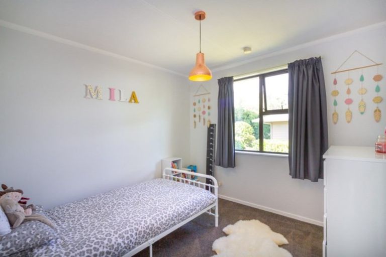 Photo of property in 165 Salisbury Street, Ashhurst, 4810