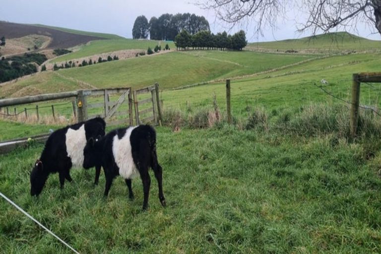 Photo of property in 447 Waddle Road, Waikana, Gore, 9772