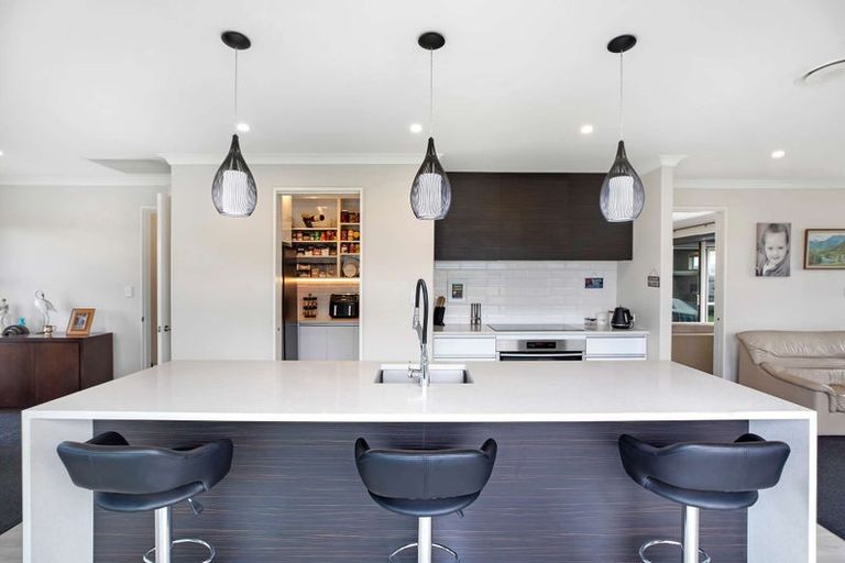 Photo of property in 133 Jimmy Adams Terrace, Lincoln, 7608