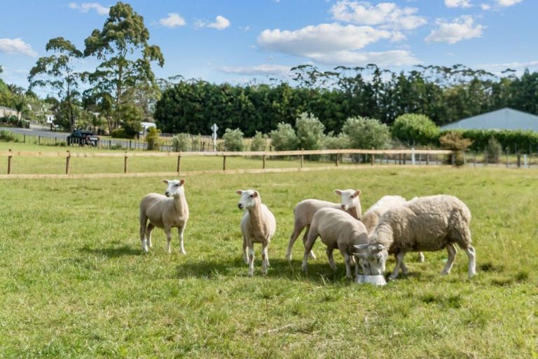 Photo of property in 32 Valencia Lane, Kerikeri, 0293