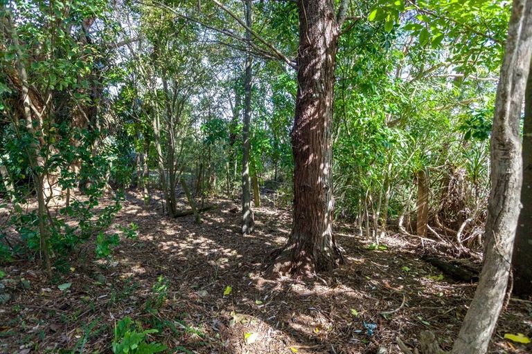 Photo of property in 159 Ocean Beach Road, Tairua, 3508