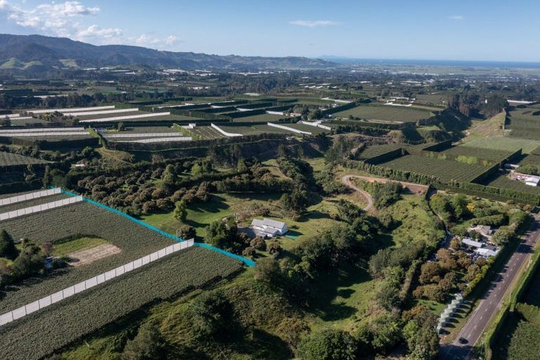 Photo of property in 612 No 1 Road, Te Puke, 3182