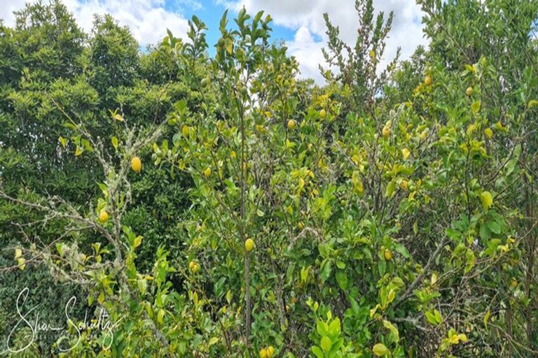 Photo of property in 105 Gorge Road, Maungaturoto, 0520