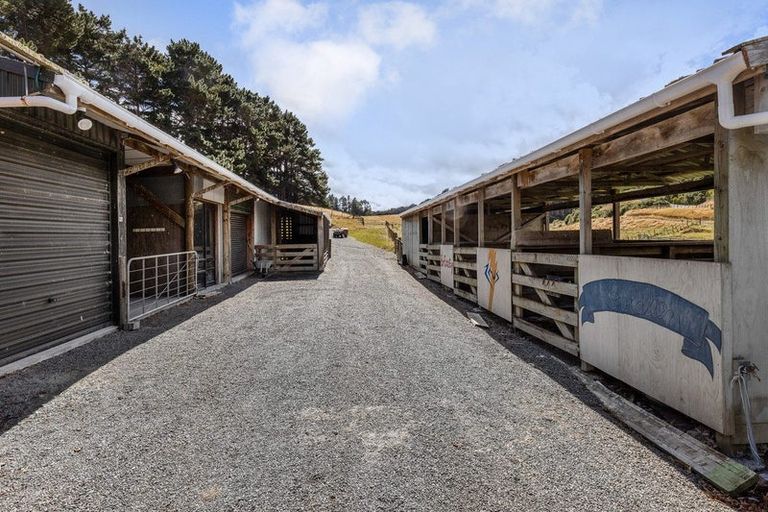 Photo of property in 25 Jones Deviation, Pauatahanui, Porirua, 5381