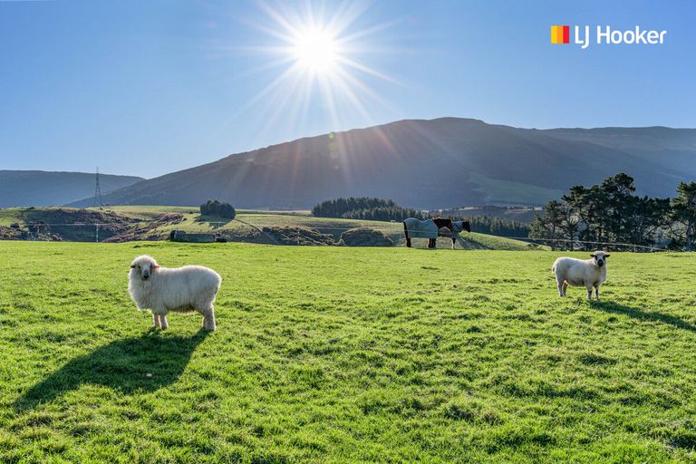 Photo of property in 796 Maungatua Road, Berwick, Outram, 9073