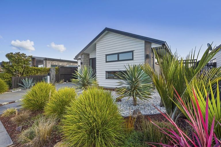 Photo of property in 21 Naismith Street, Chartwell, Hamilton, 3210