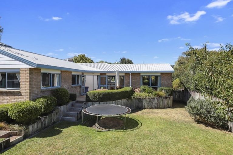 Photo of property in 50 Western Heights Drive, Western Heights, Hamilton, 3200