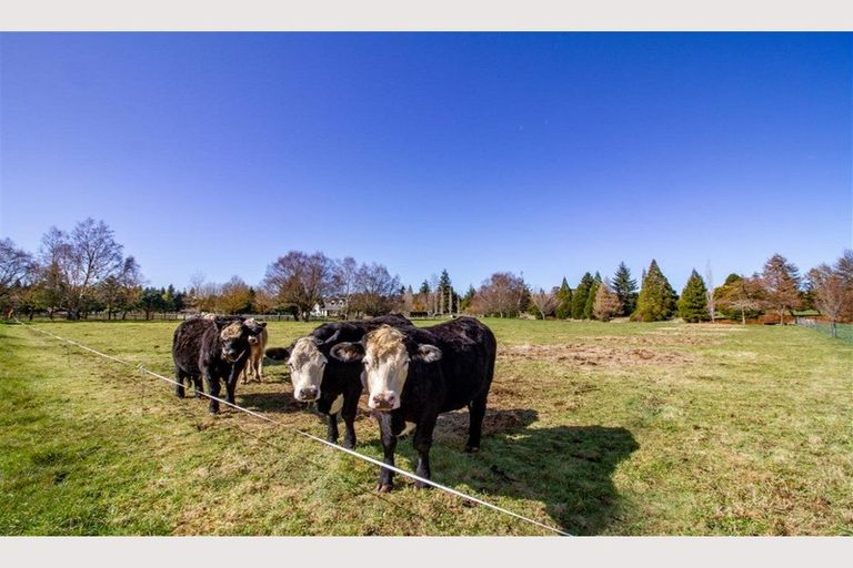 Photo of property in 610 Raetihi Ohakune Road, Ohakune, 4691