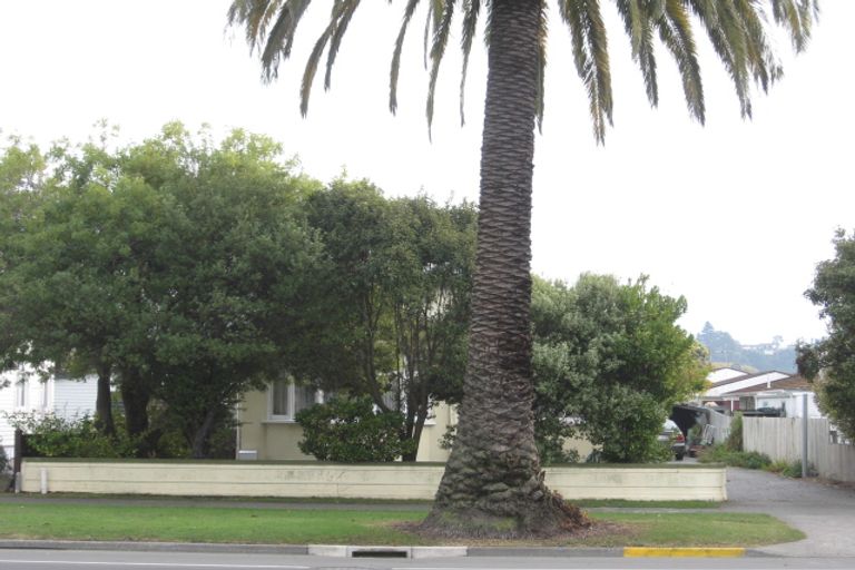 Photo of property in 167 Kennedy Road, Marewa, Napier, 4110