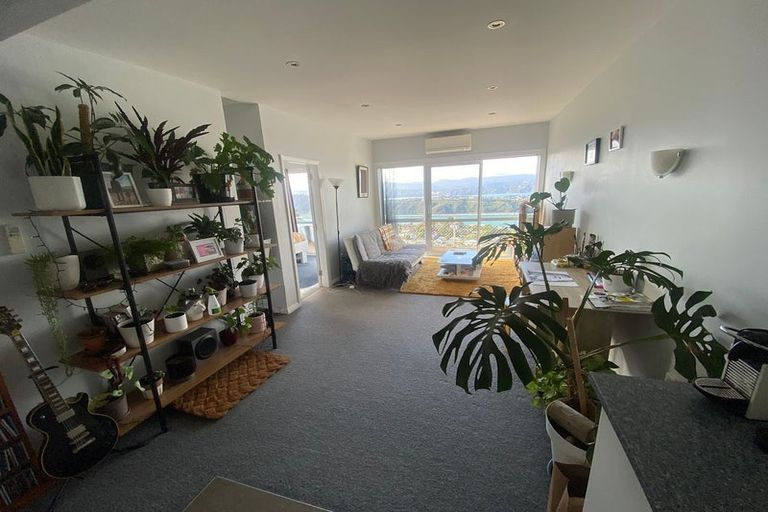 Photo of property in 17b Marewa Road, Hataitai, Wellington, 6021
