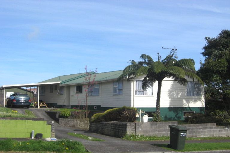 Photo of property in 33 Ihaia Street, Waitara, 4320