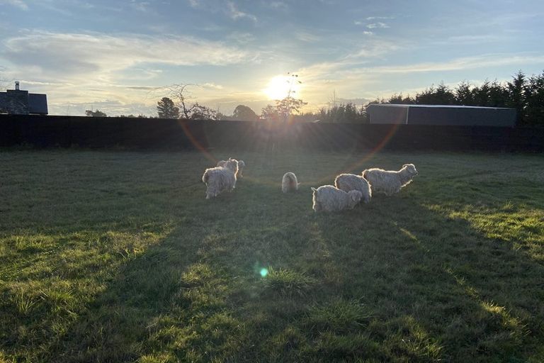 Photo of property in 62 Norris Drive, Swannanoa, Kaiapoi, 7692