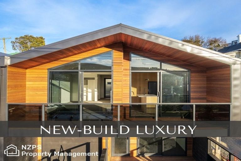 Photo of property in 45a Ann Street, Kaikorai, Dunedin, 9010