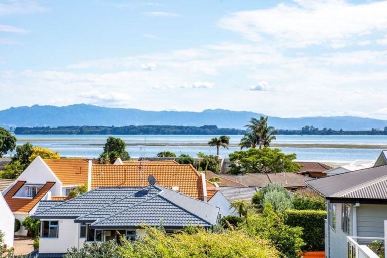 Photo of property in 44a Tilby Drive, Matua, Tauranga, 3110