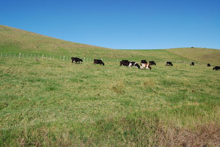 Photo of property in 16 Barnfield Road, Kaiwaka, 0573