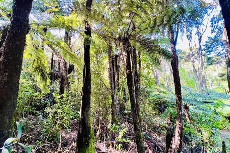 Photo of property in 600 Buffalo Road, Coromandel, 3506