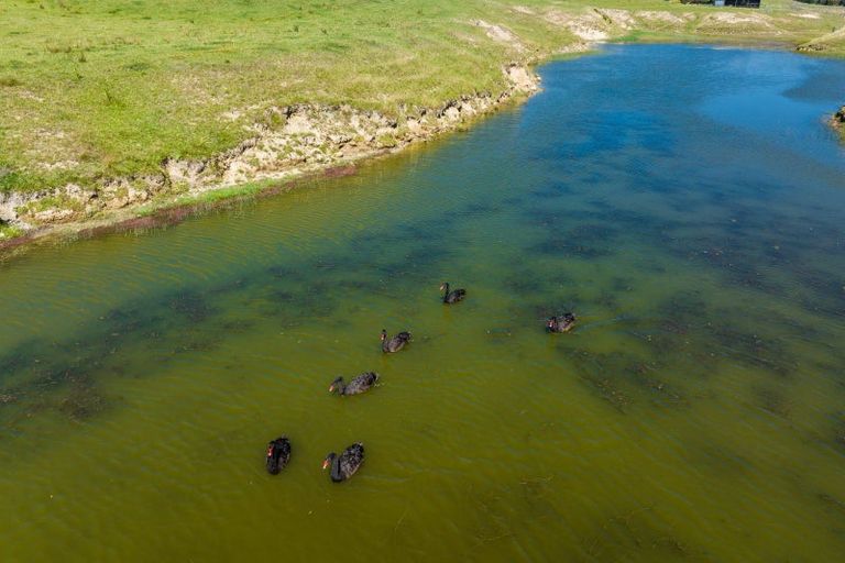 Photo of property in 363 Caseys Road, Lake Grassmere, Seddon, 7285