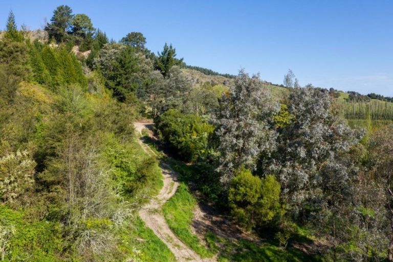 Photo of property in 55 Hill Road, Ormond, Gisborne, 4071