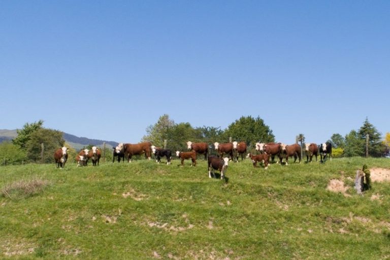 Photo of property in 998b Tauranga Road, Te Poi, Matamata, 3473