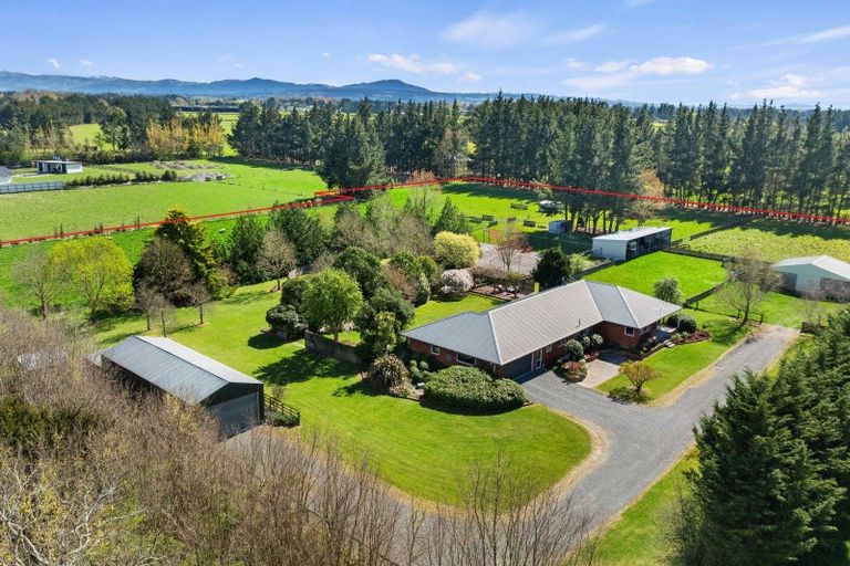 Photo of property in 150 Skewbridge Road, Flaxton, Kaiapoi, 7691