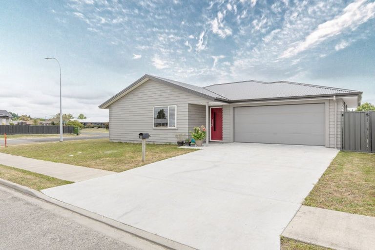 Photo of property in 33 Belgrove Drive, Waipukurau, 4200