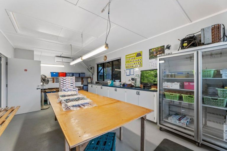 Photo of property in 241 Rea Road, Tahawai, Katikati, 3178