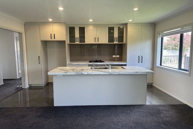 Photo of property in 62 Albert Street, Palmerston North, 4414