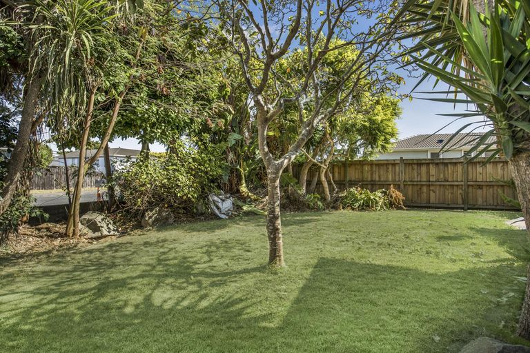 Photo of property in 48 Goodwin Drive, Rosehill, Papakura, 2113