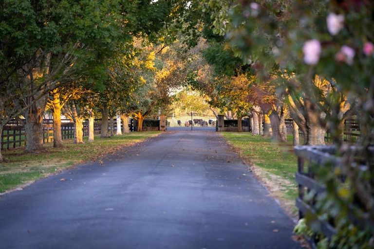 Photo of property in 105 Marshmeadow Road, Newstead, Hamilton, 3286