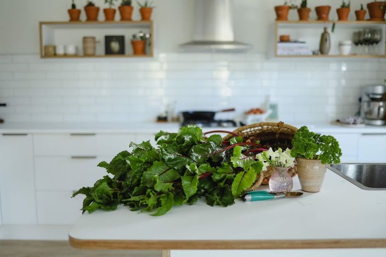 Photo of property in 17 Tuke Lane, Wanaka, 9305