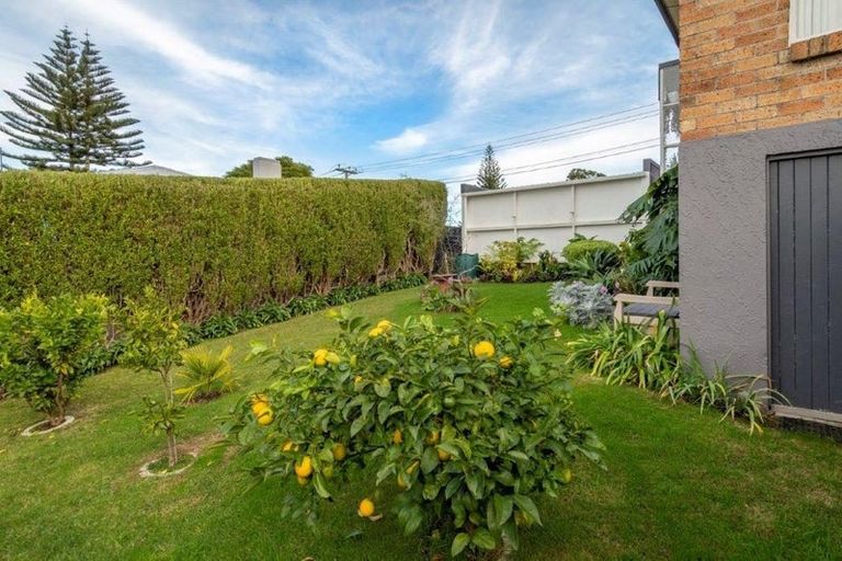 Photo of property in 42a Brookfield Terrace, Brookfield, Tauranga, 3110