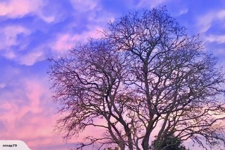 Photo of property in 93b Pungaere Road, Waipapa, Kerikeri, 0295