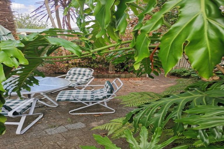 Photo of property in 15a Peachgrove Road, Hamilton East, Hamilton, 3216