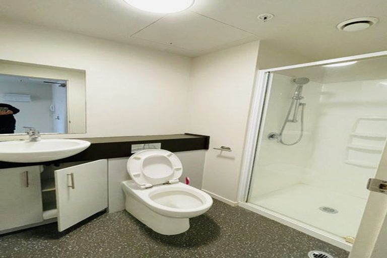 Photo of property in The Peak Apartments, 502/170 Taranaki Street, Te Aro, Wellington, 6011