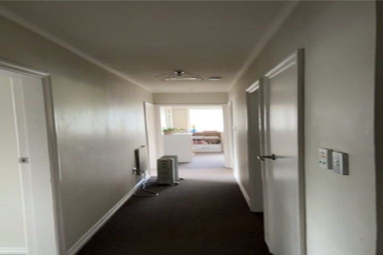 Photo of property in 38 Leefield Street, Blenheim, 7201