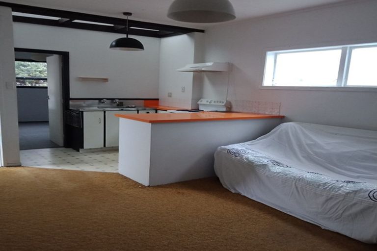 Photo of property in 53 Hawker Street, Mount Victoria, Wellington, 6011