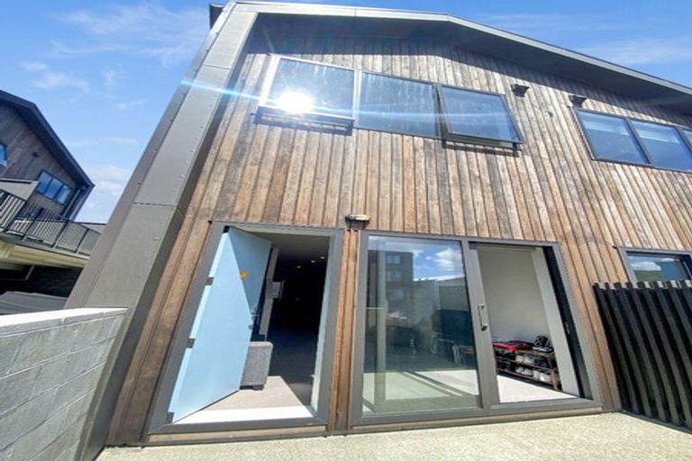 Photo of property in Aniva Terrace, 14 Arney Street, Newtown, Wellington, 6021