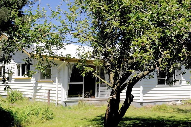 Photo of property in 132 Bradshaws Road, Waimate, 7980