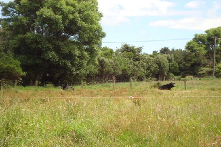 Photo of property in 77 Riemenschneider Street, Manaia, 4612